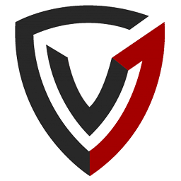 Vee 7 Information Technology LLC.